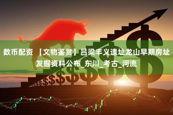 数币配资 【文物鉴赏】吕梁丰义遗址龙山早期房址发掘资料公布_东川_考古_河流